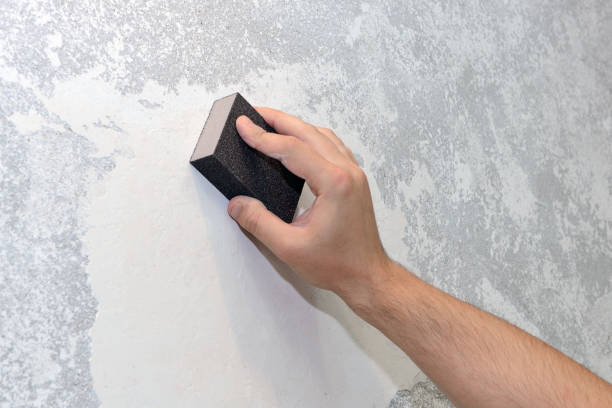 Best HVAC Mold Inspection and Cleaning  in Napervle, IL