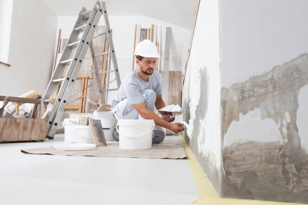 Best Airborne Mold Testing  in Napervle, IL