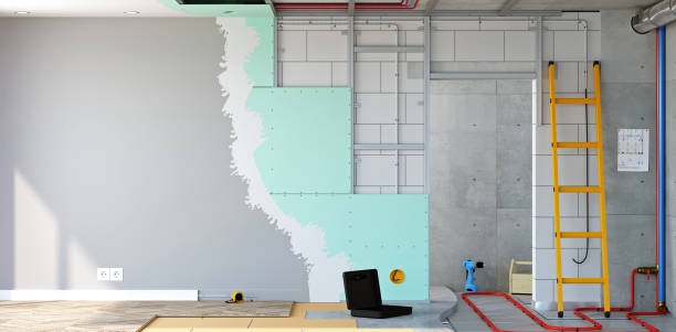 Best Forensic Mold Investigation  in Napervle, IL