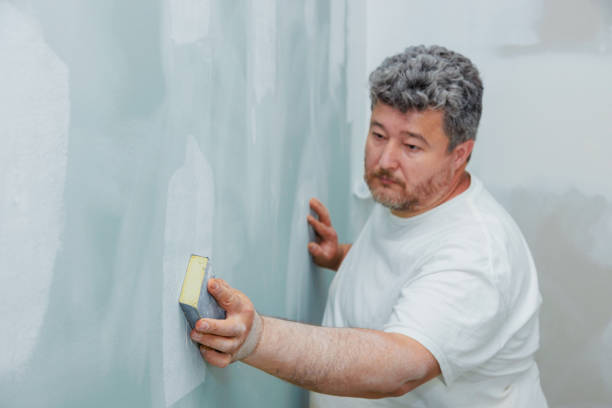 Best Biohazard Mold Removal  in Napervle, IL