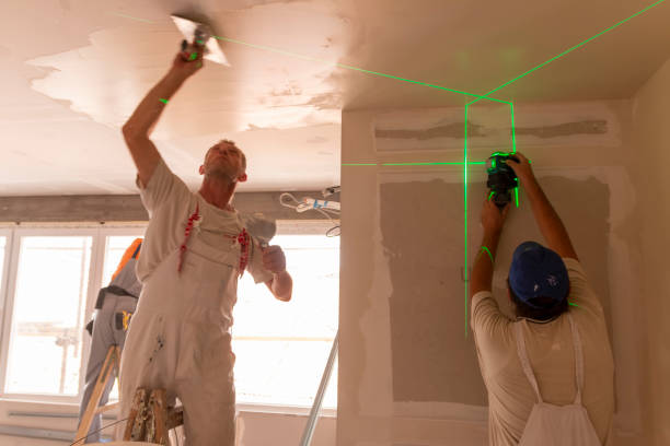 Mold Documentation for Insurance Claims in Naperville, IL