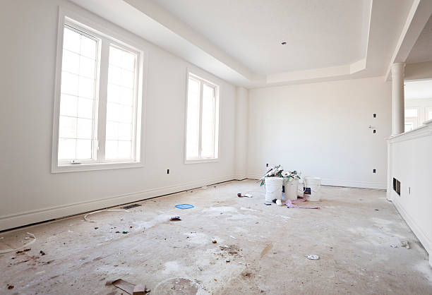 Best Mold Damage Restoration  in Napervle, IL
