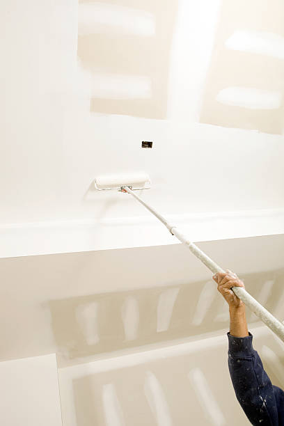 Best Real Estate Mold Inspection  in Napervle, IL