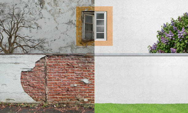 Best Residential Mold Inspection & Testing  in Napervle, IL