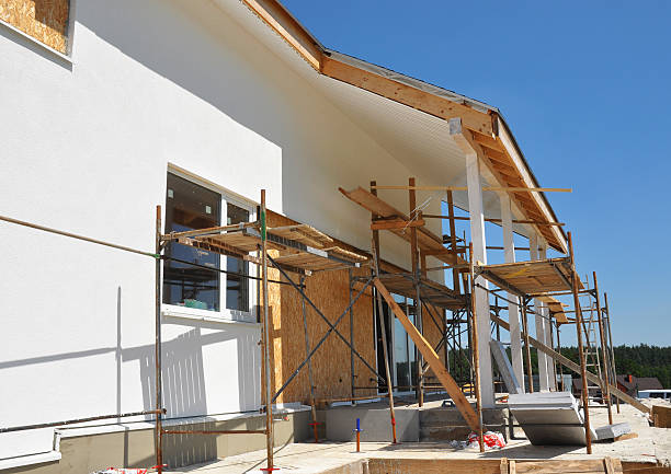  Napervle, IL Mold Removal Pros