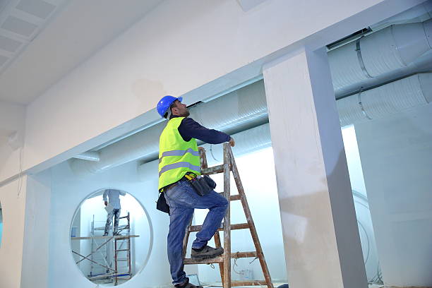 Best Mold Documentation for Insurance Claims  in Napervle, IL