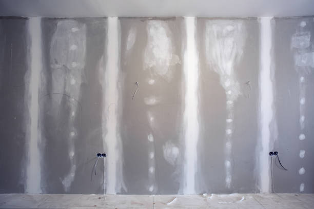 Asbestos and Lead Testing During Mold Inspection in Naperville, IL